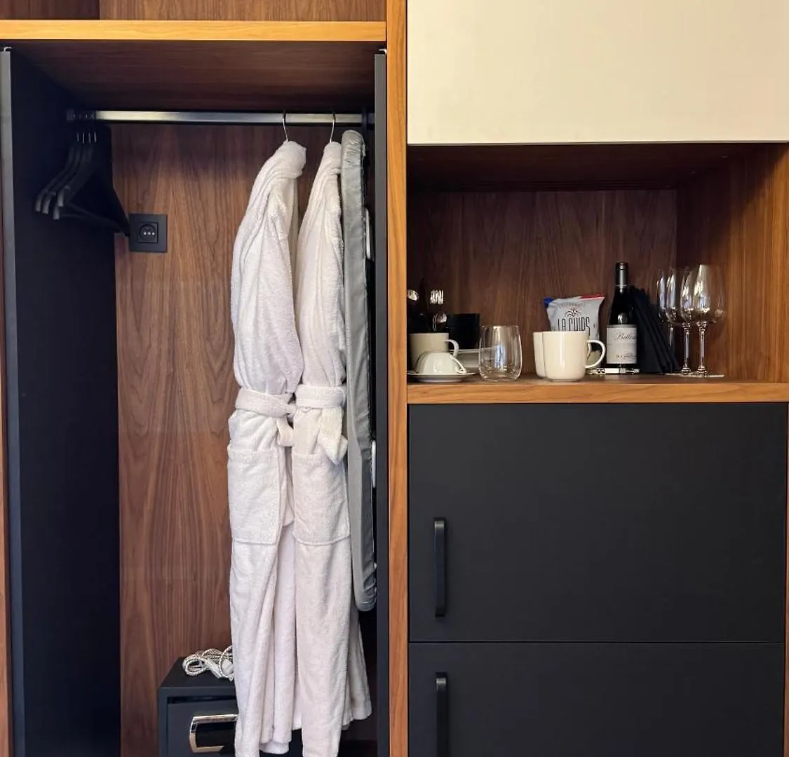 מלון ליון Mihotel Tour Rose צרפת